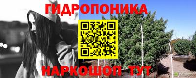 первитин Будённовск