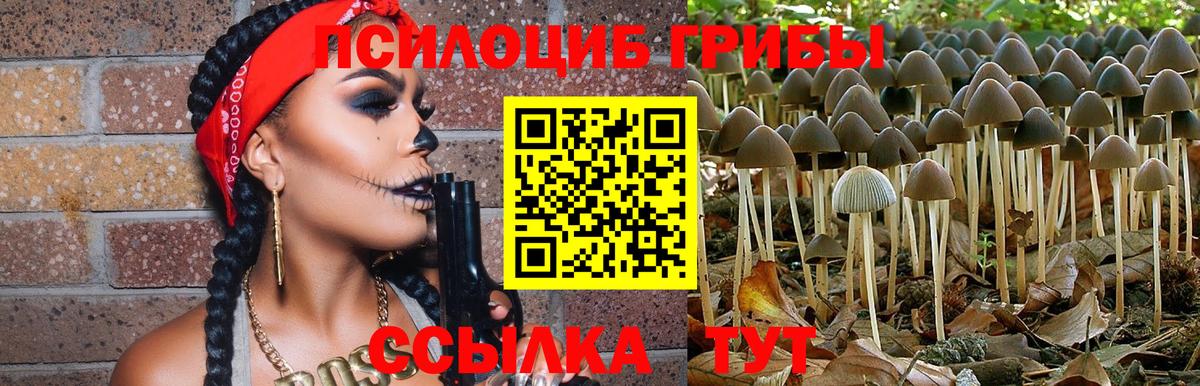 Псилоцибиновые грибы Magic Shrooms  Вход с VPN  Отрадный 